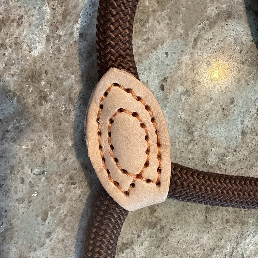 5' Nylon Leather Slip Lead Dog Leash‎ Brown Dog Training Walking Exercise